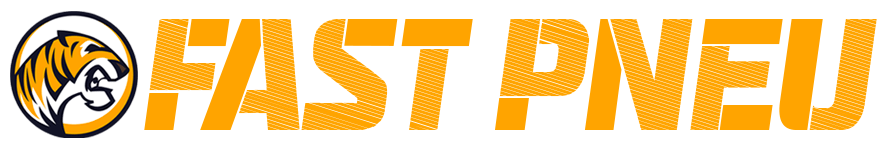 Fast Pneu Logo